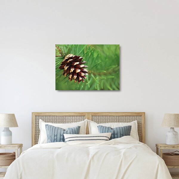 Tablou pe sticlă cu con (70x50 cm)