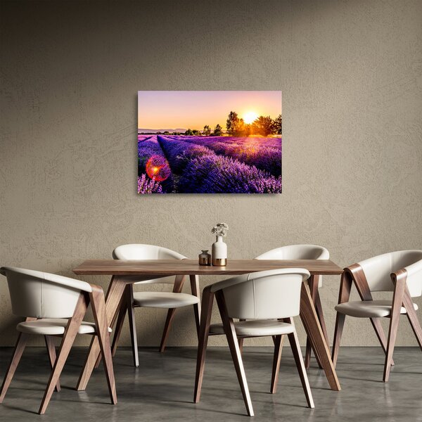 Tablou pe sticlă cu câmp de lavanda (70x50 cm)