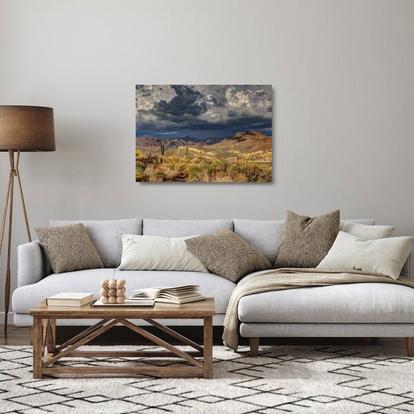 Tablou pe sticlă - cactușii în natură (70x50 cm)