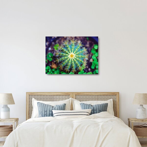 Tablou pe sticlă cu cactus (70x50 cm)