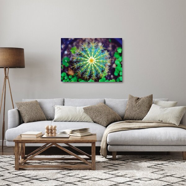 Tablou pe sticlă cu cactus (70x50 cm)