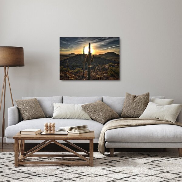 Tablou pe sticlă - cactușii la soare (70x50 cm)