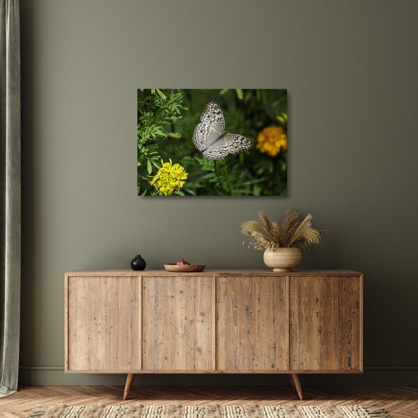 Tablou pe sticlă - fluture alb (70x50 cm)
