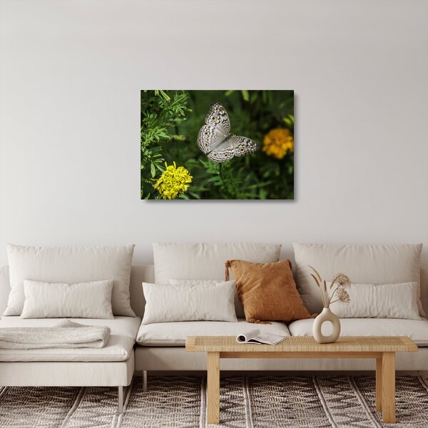Tablou pe sticlă - fluture alb (70x50 cm)