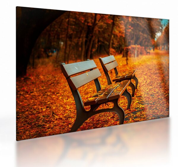 Tablou pe sticlă cu banca toamna (70x50 cm)