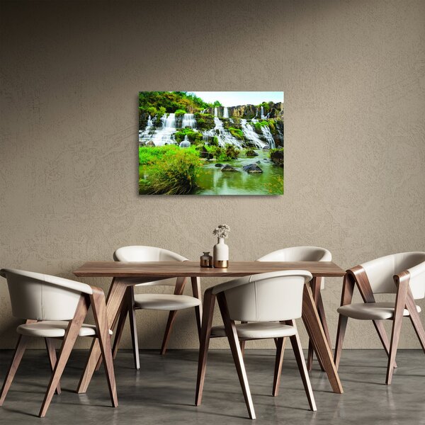 Tablou pe sticlă - cascade cu plante (70x50 cm)