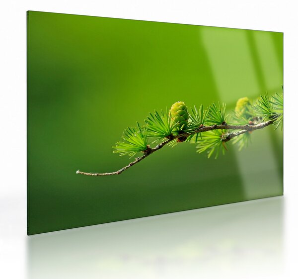 Tablou pe sticlă con verde (70x50 cm)