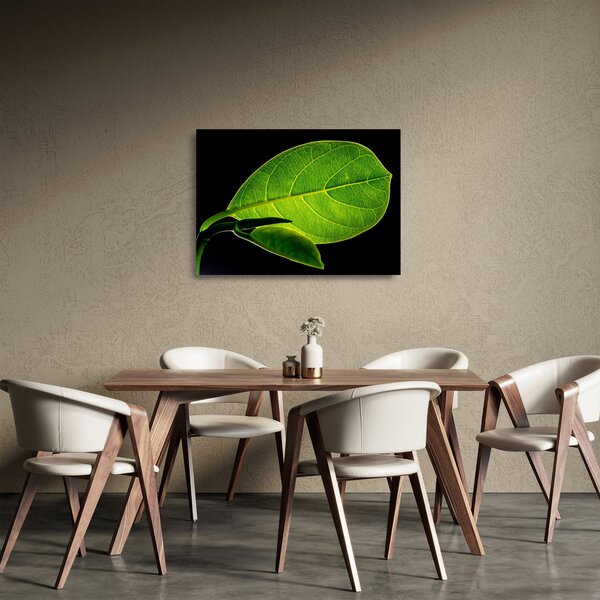 Tablou pe sticlă - frunză verde (70x50 cm)