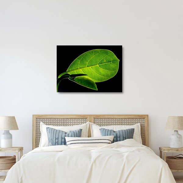 Tablou pe sticlă - frunză verde (70x50 cm)