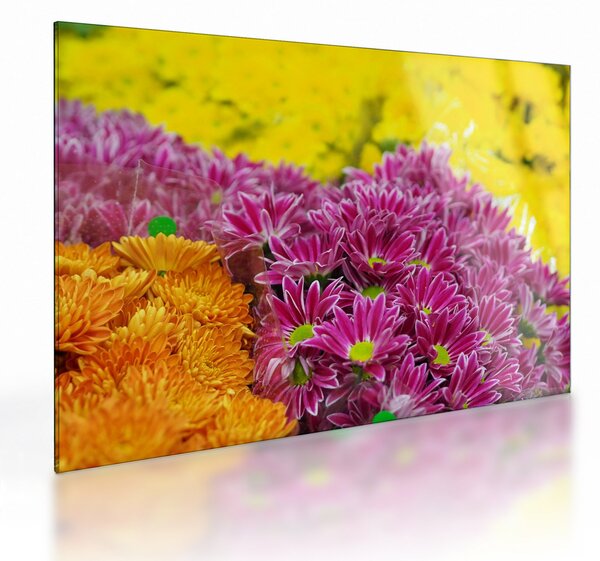 Tablou pe sticlă cu floarea roz (70x50 cm)