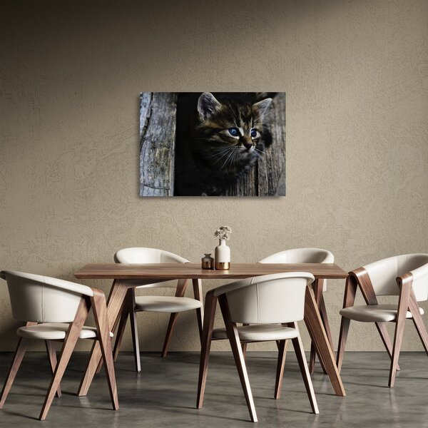 Tablou pe sticlă cu pisicuța (70x50 cm)