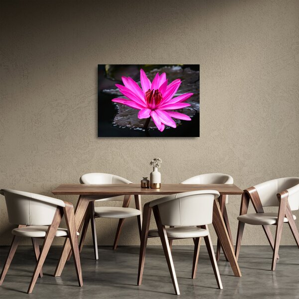 Tablou pe sticlă - floarea roz (70x50 cm)