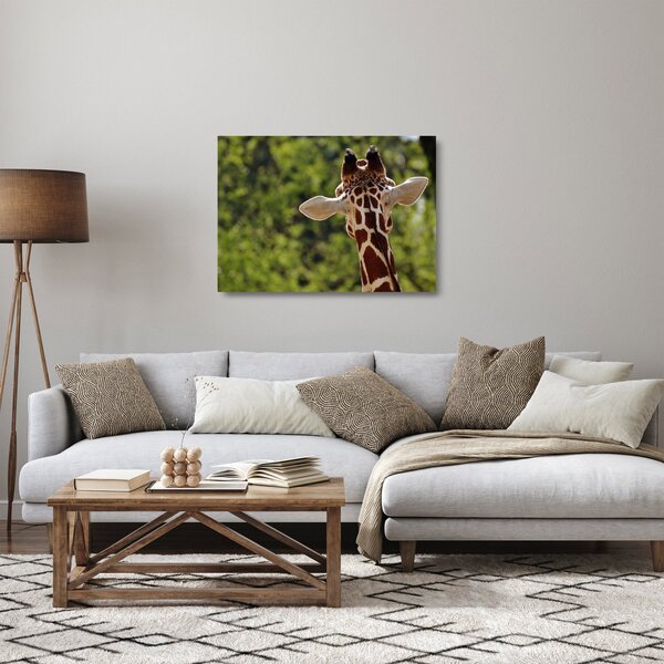 Tablou pe sticlă cu girafă din spate (70x50 cm)