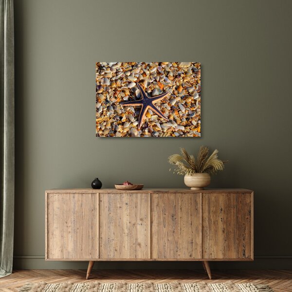Tablou pe sticlă cu stea de mare (70x50 cm)