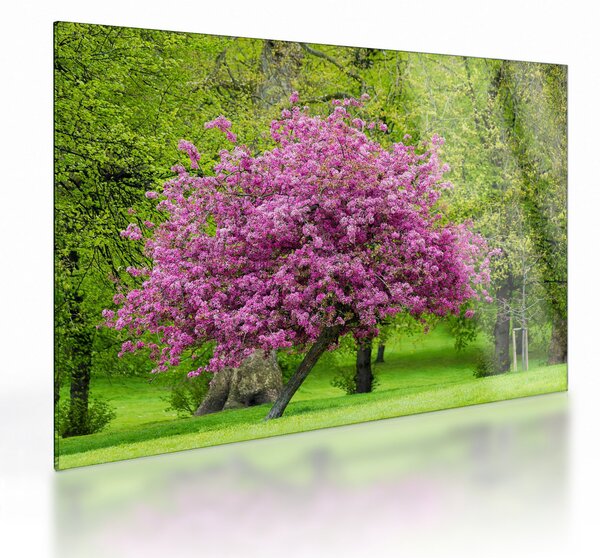 Tablou pe sticlă cu pom înflorit pe luncă (70x50 cm)