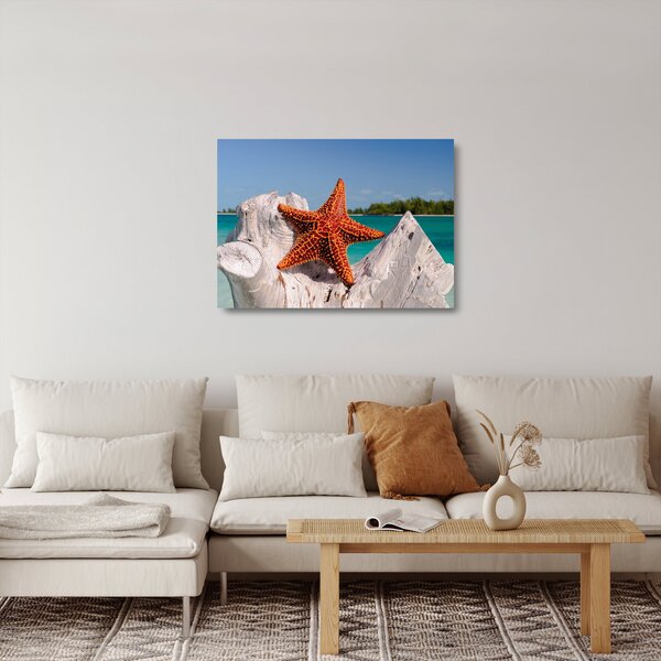 Tablou pe sticlă cu stea de mare (70x50 cm)