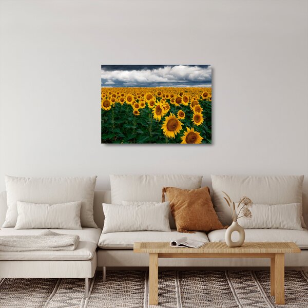 Tablou pe sticlă câmpului de floarea soarelui (70x50 cm)