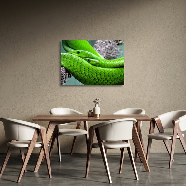 Tablou pe sticlă cu șerpi verzi (70x50 cm)
