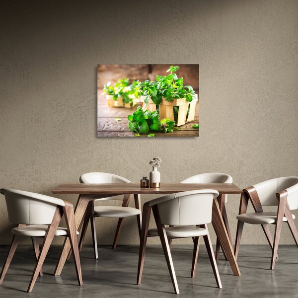 Tablou pe sticlă cu menta proaspătă (70x50 cm)