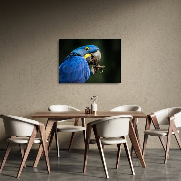 Tablou pe sticlă cu papagal (70x50 cm)