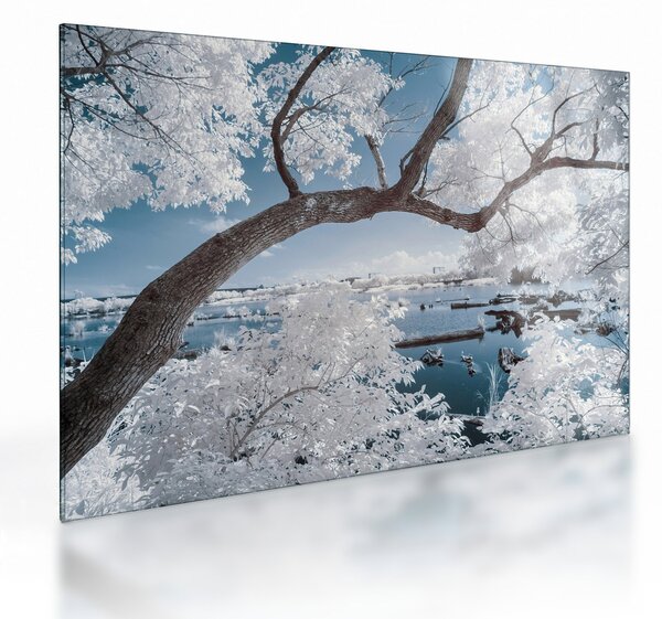 Tablou pe sticlă cu copac înzăpezit lângă apă (70x50 cm)