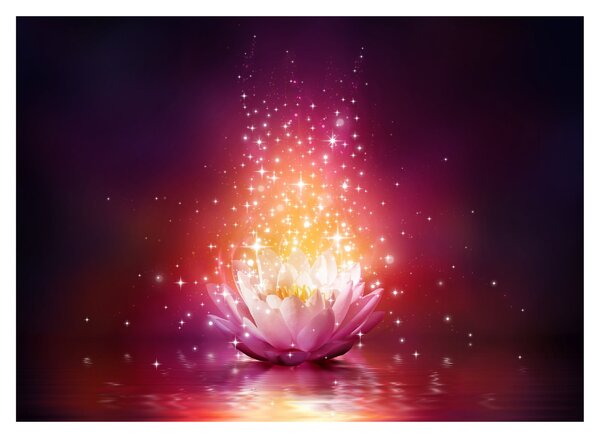 Tablou pe sticlă cu floare de lotus (70x50 cm)
