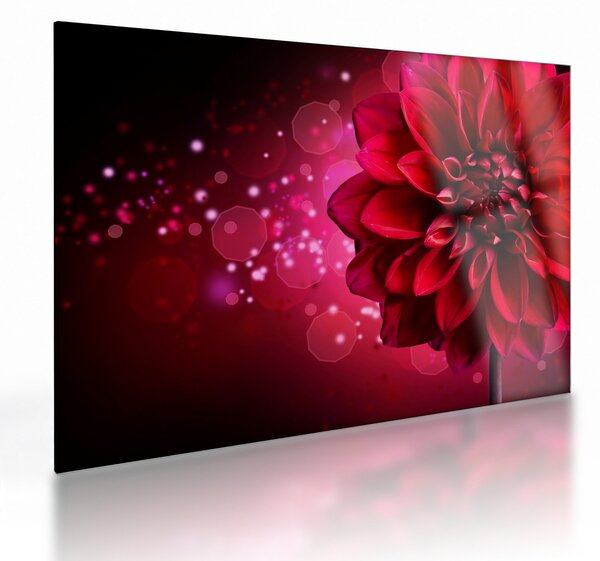Tablou pe sticlă cu floare roșie (70x50 cm)
