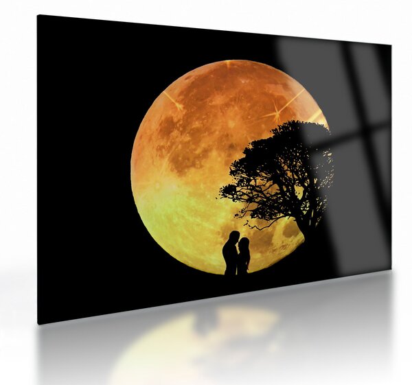 Tablou pe sticlă cu umbre în lumina lunii (70x50 cm)