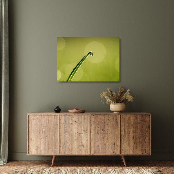 Tablou pe sticlă cu picătură de apă pe iarbă (70x50 cm)