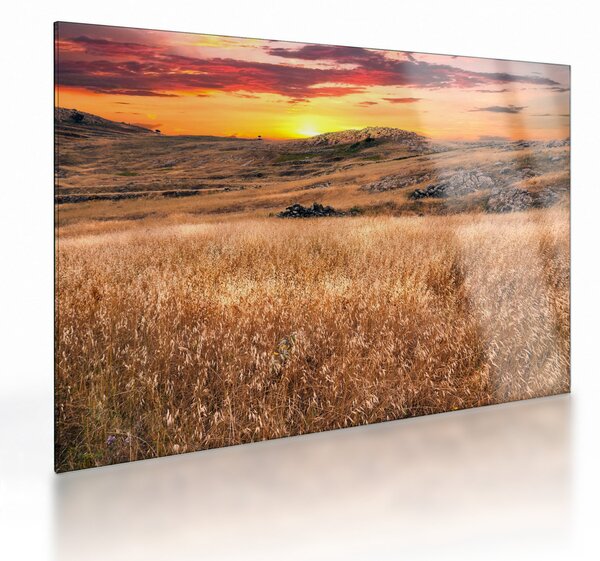 Tablou pe sticlă cu câmp (70x50 cm)