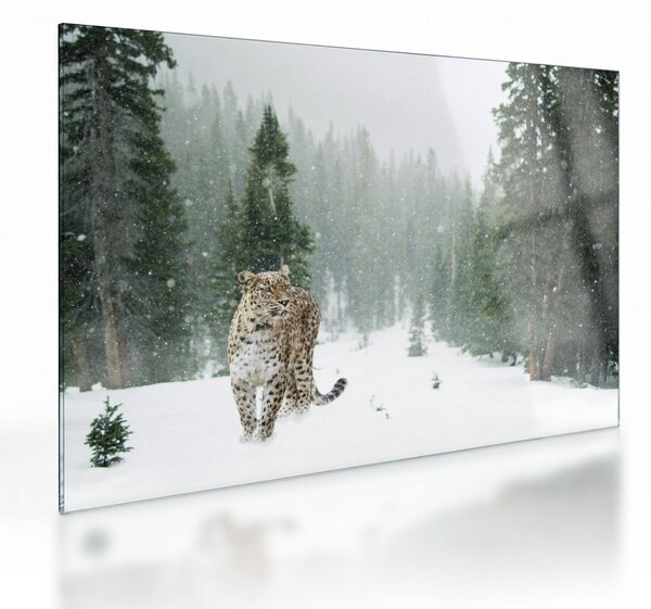 Tablou pe sticlă cu leopard în zăpadă (70x50 cm)
