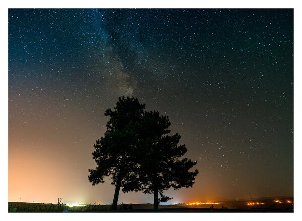 Tablou pe sticlă cu cerul nocturn și copaci (70x50 cm)