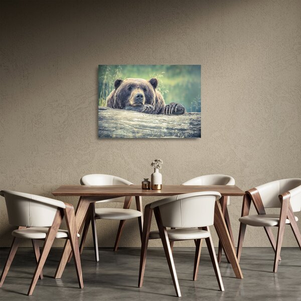 Tablou pe sticlă cu urs (70x50 cm)