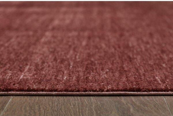 Covor burgundy 160x230 cm Puro – ESTE