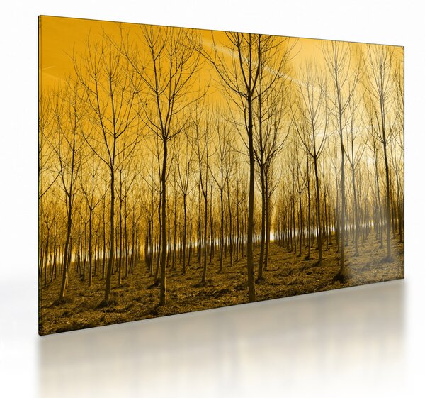 Tablou pe sticlă cu pădure în apus de soare (70x50 cm)