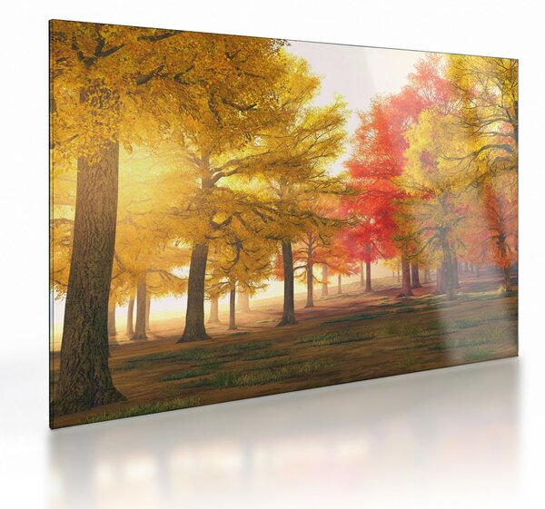 Tablou pe sticlă cu copaci toamna (70x50 cm)