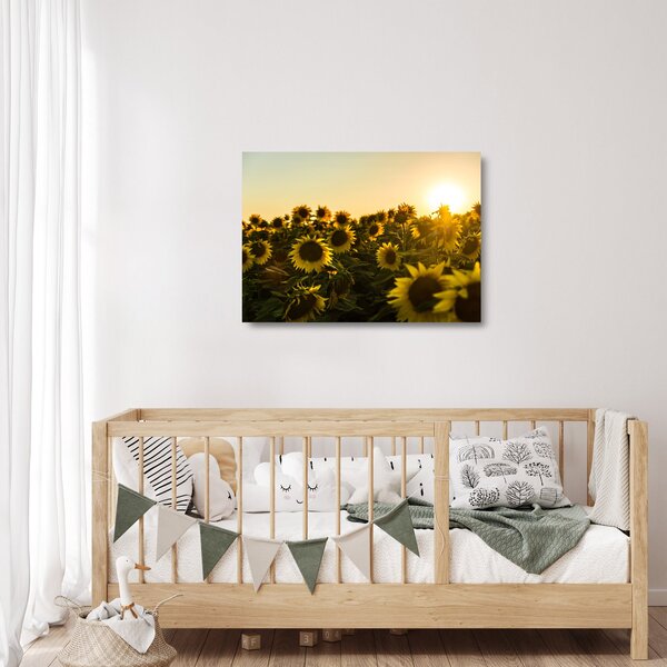 Tablou pe sticlă cu lan de floarea soarelui (70x50 cm)