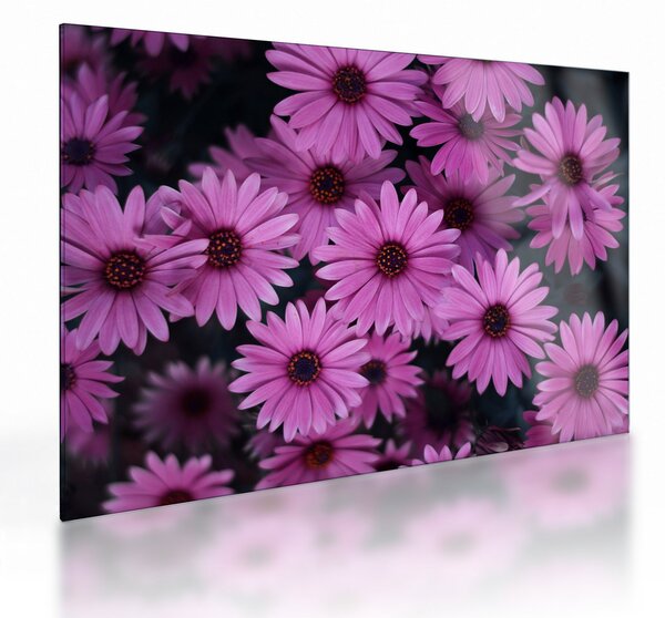 Tablou pe sticlă cu florile roz (70x50 cm)