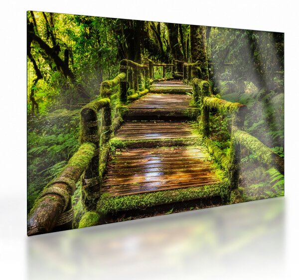 Tablou pe sticlă cu scări într-o pădure tropicală (70x50 cm)