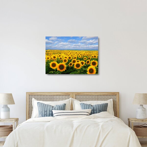Tablou pe sticlă cu lan de floarea soarelui (70x50 cm)
