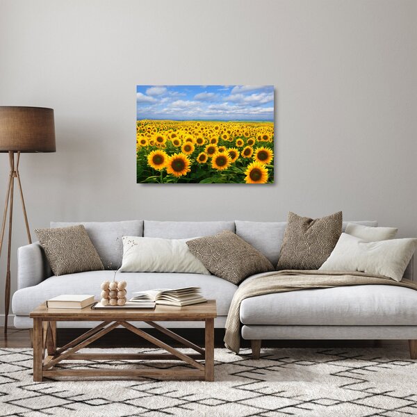 Tablou pe sticlă cu lan de floarea soarelui (70x50 cm)