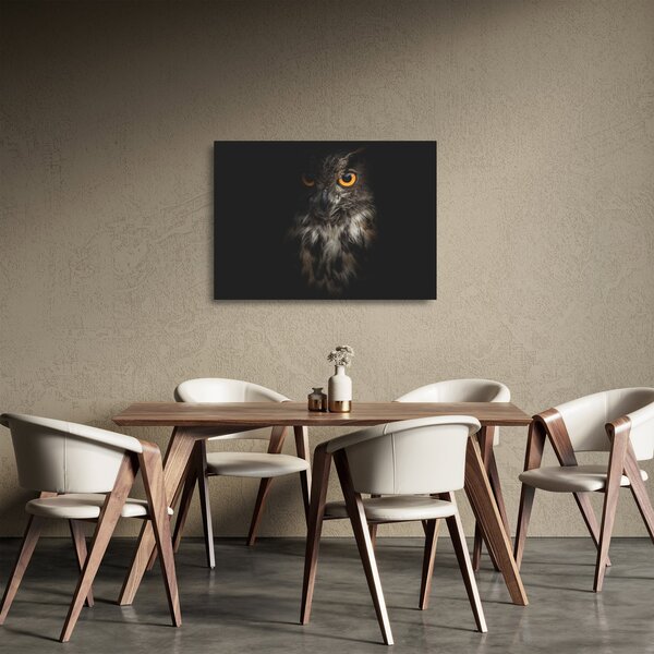 Tablou pe sticlă cu bufnița (70x50 cm)