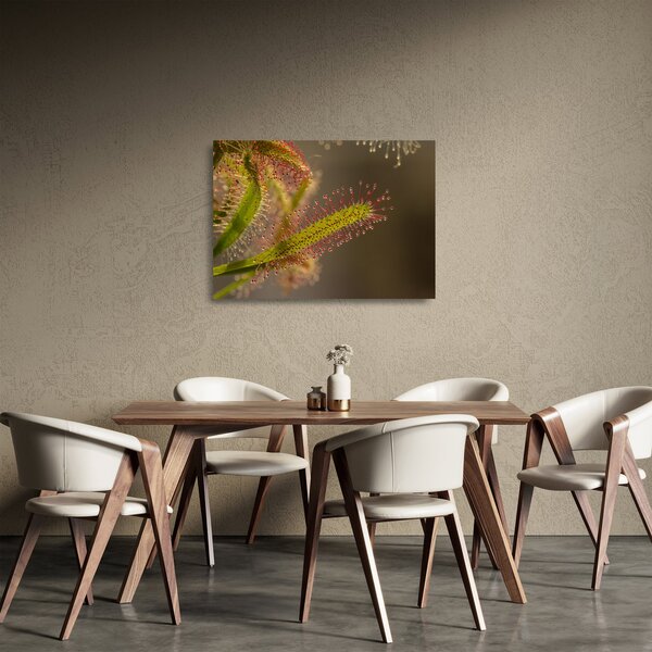 Tablou pe sticlă cu plantă (70x50 cm)