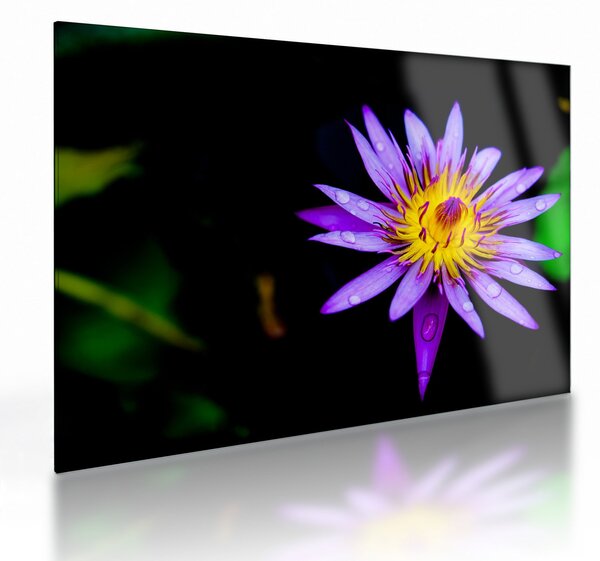 Tablou pe sticlă cu floare (70x50 cm)