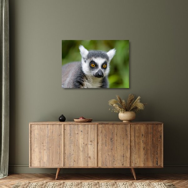 Tablou pe sticlă cu lemur (70x50 cm)