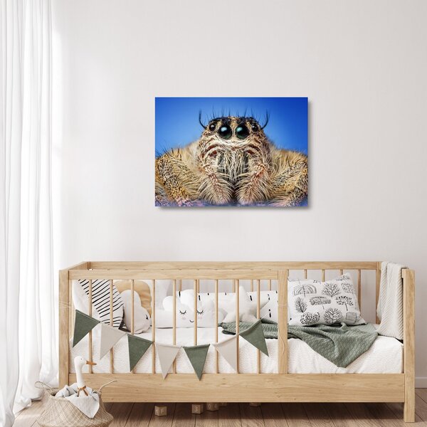 Tablou pe sticlă cu detalii a unui pâianjen (70x50 cm)