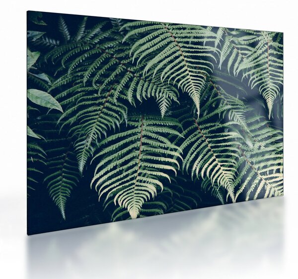 Tablou pe sticlă cu frunze de ferigă (70x50 cm)
