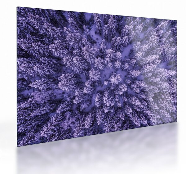 Tablou pe sticlă cu copacii înzăpeziți (70x50 cm)