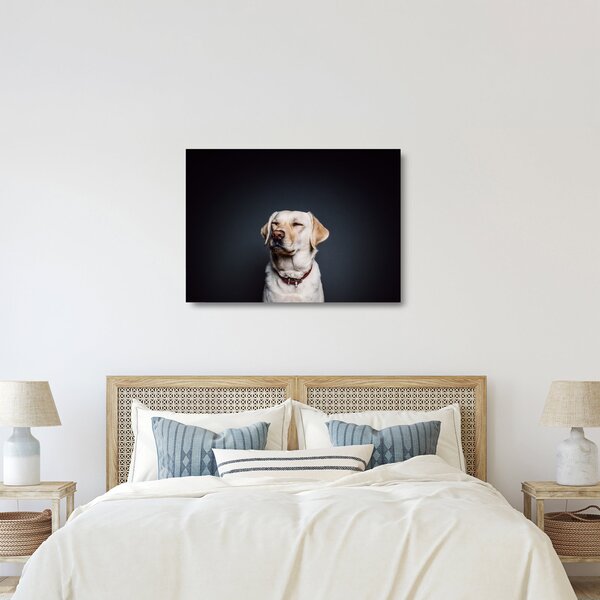 Tablou pe sticlă cu labrador (70x50 cm)