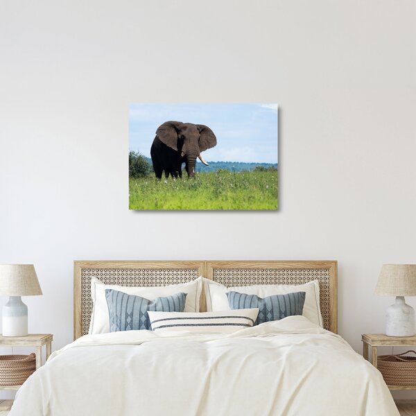 Tablou pe sticlă cu elefant (70x50 cm)